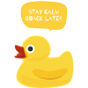 Stay Calm, Quack Later Duck Design