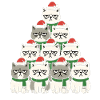 Grumpy Christmas Cats – Lustiges Katzen