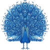 Cobalt Blue Peacock Fan