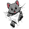Chaton Chat Câlin Chat Mignon