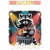 Funny Raccoon