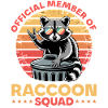 Funny Raccoon