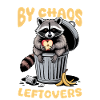 Funny Raccoon