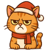 Grumpy Christmas hangover