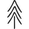 Minimalist fir tree