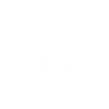 Abeille en optique pixel