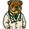 Bulldog Vet Doctor Illustration
