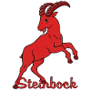 Sternzeichen Steinbock