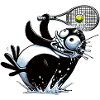 Funny penguin playing tennis with racket