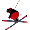 Skieur