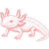 Axolotl Linen Style – Pink