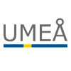 Sweden Flag - Umeå - Sverige - Sweden