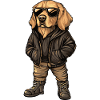 Golden Retriever Dog Cool Winter
