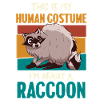Raccoon Human Costume Humor