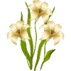 Fleur