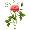 Fleur