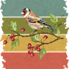 Bunter Vogel