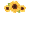 Expectant granny loading future grandmother