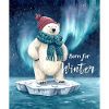 Né pour l’ours polaire d’hiver