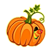 Pumpkin Parrot Whimsy