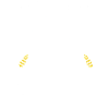 BORN_TO_BUZZ