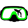 Diving goggles