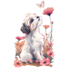 Shih Tzu and Butterfly