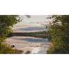 Spiegelung am Seeufer: Abendruhe