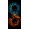 Oeil Double Bleu et Orange