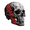 Misanthrope Skull Gothic Skull Dark Antihero