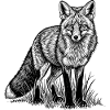 German Fox | Sweet Germany Motif Gift