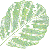 Leaf / Alder