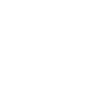 Dinosaur
