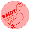 Fun Goose Hallo