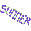Summer eggplant