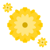 Sunny Daisy Burst