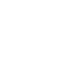 Udinese