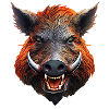 Wild boar