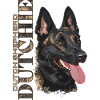 Dutchie - Dutch Shepherd Dog