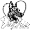 Dutch Shepherd Dog