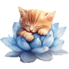 Kitten resting on blue succulents