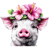 Hibiscus Crown Pig