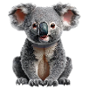 Koala