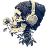 Crâne avec casque et fleurs