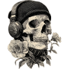 Crâne avec casque et rose