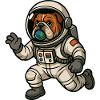 Astro Bulldog Explorer