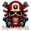 Wild Power Skull Moto Art