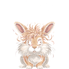 Animal Humour Lapin Tête Lion