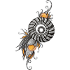 Nautilus Spiral with Orange Accents