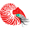 Perlboot, Ammonit, Kopffüßer, Nautilus